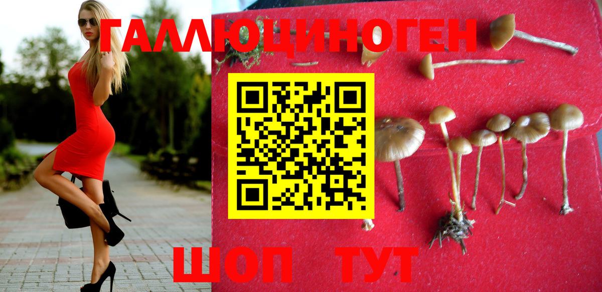Галлюциногенные грибы ЛСД Зеленокумск