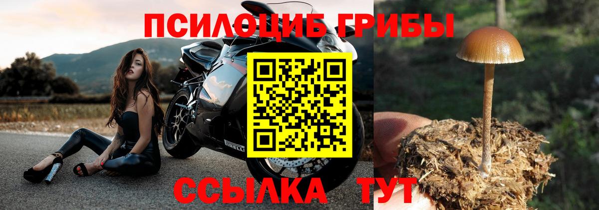 Зеленокумск  Псилоцибиновые грибы MAGIC MUSHROOMS  Вход с VPN  как найти закладки  Псилоцибиновые грибы MAGIC MUSHROOMS 